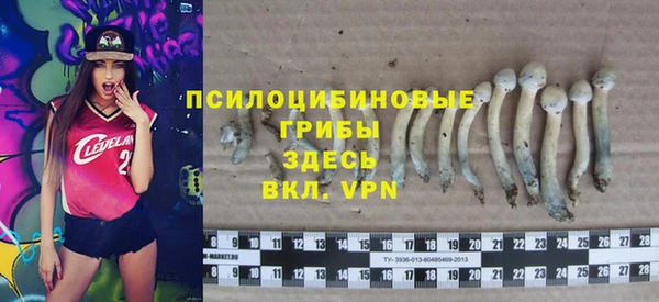 бошки Лиски