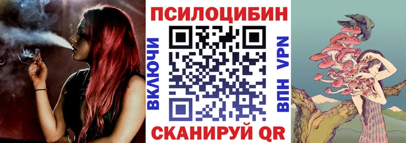 Псилоцибиновые грибы GOLDEN TEACHER Туапсе