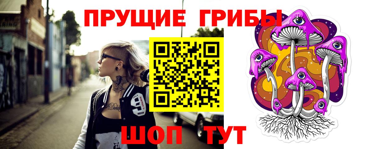 Галлюциногенные грибы GOLDEN TEACHER Туапсе