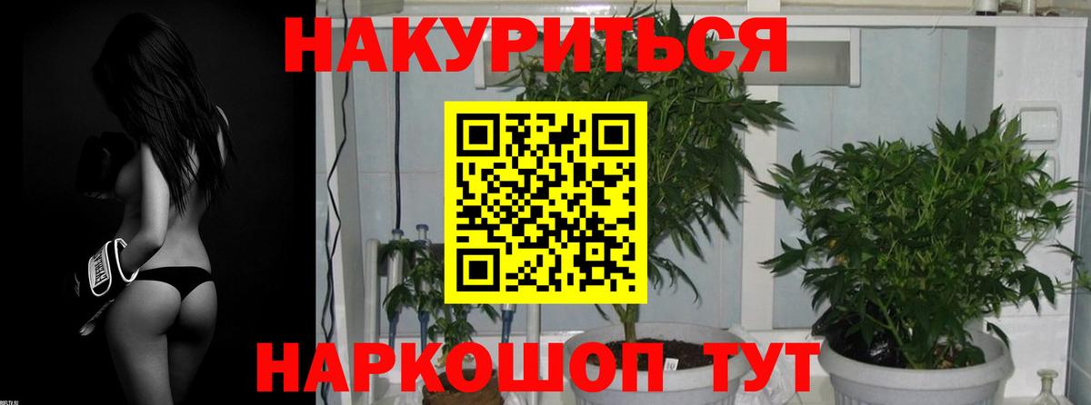 МАРИХУАНА ГИДРОПОН Туапсе